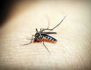 Ultrasonic Pest Repellers