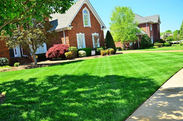 neat lawn